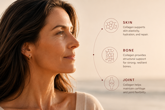 Collagen loss in menopause