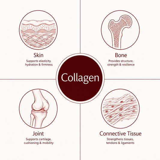 Structural Health pillars: Skin, Bone, Joint, Connective Tissue