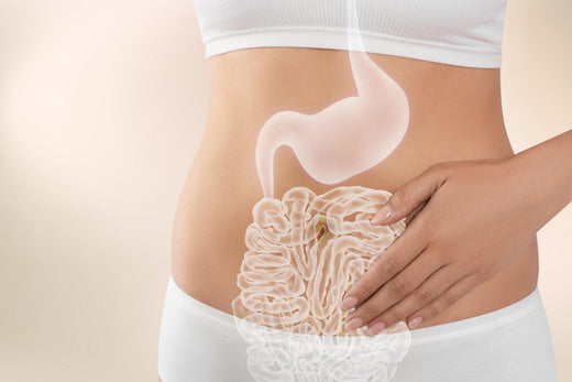 What is estrobolome